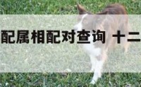十二生肖婚配属相配对查询 十二生肖婚配查询表