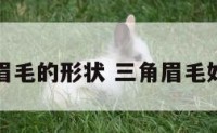 三角眉毛的形状 三角眉毛好看吗