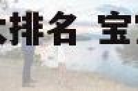 宝宝起名网站十大排名 宝宝起名最好的网站免费