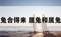 兔和属兔合得来 属兔和属兔在一起