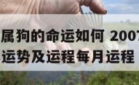 2007年属狗的命运如何 2007年属狗2021年运势及运程每月运程
