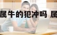 属马的真的和属牛的犯冲吗 属马和属牛犯相吗
