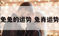免兔的运势 兔肖运势