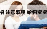 狗狗宝宝起名注意事项 给狗宝宝起什么名字好听