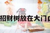 门前招财树 招财树放在大门口内两边好吗