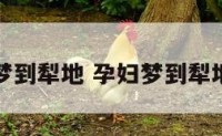 孕妇梦到犁地 孕妇梦到犁地耕地