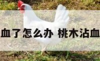 桃木饰品沾血了怎么办 桃木沾血有什么寓意