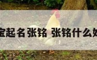 宝宝起名张铭 张铭什么好听