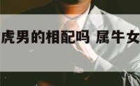 属牛女跟属虎男的相配吗 属牛女跟属虎男的相配吗好吗
