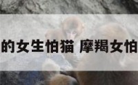 摩羯座的女生怕猫 摩羯女怕麻烦吗