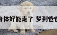 梦见爸身身体好能走了 梦到爸爸身体好转
