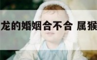 属猴的与属龙的婚姻合不合 属猴的和属龙的配吗?