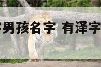有泽字的名字男孩名字 有泽字的名字男孩名字大全