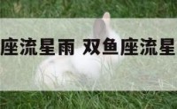 几年会双鱼座流星雨 双鱼座流星雨什么时候能看到