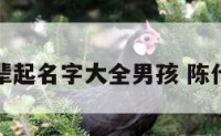 陈姓志字辈起名字大全男孩 陈什么志好听