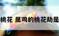 属鸡的桃花 属鸡的桃花劫是多少岁