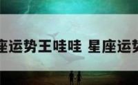 星座运势王哇哇 星座运势啊