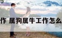 属狗属牛工作 属狗属牛工作怎么和财运相处