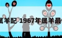 1967属羊配 1967年属羊最佳配偶