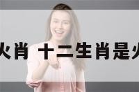十二生肖是火肖 十二生肖是火肖还是水肖