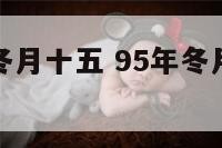 五九年属猪冬月十五 95年冬月属猪五行什么命