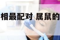 属鼠和属猪属相最配对 属鼠的和属猪的人相配吗