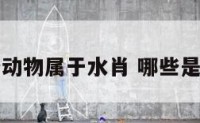 哪些动物属于水肖 哪些是水肖