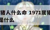 1971属猪人什么命 1971属猪人什么命五行是什么