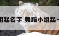舞蹈小组起名字 舞蹈小组起一个名字