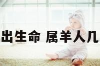 属羊每日出生命 属羊人几日的命运