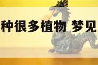 梦见朋友家里种很多植物 梦见朋友家里种很多植物好不好