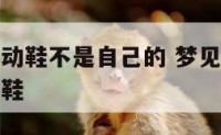 梦见穿了运动鞋不是自己的 梦见自己穿的鞋子不是一双鞋
