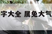 属兔大气的名字大全 属兔大气的名字大全女孩