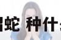 种什么植物容易招蛇 种什么植物容易招蛇呢