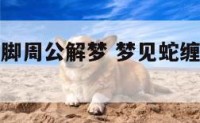 梦见蛇缠左脚周公解梦 梦见蛇缠左腿是什么意思