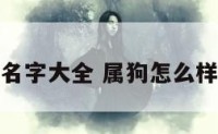 属狗改名字大全 属狗怎么样取名字