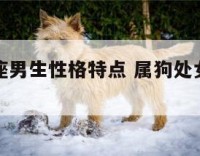 属狗处女座男生性格特点 属狗处女座性格特征