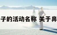 关于鼻子的活动名称 关于鼻子教案