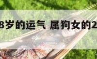 属狗女48岁的运气 属狗女的2021年运势如何