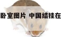 中国结挂在卧室图片 中国结挂在卧室哪个位置最好
