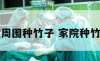 阳宅院周围种竹子 家院种竹子好吗