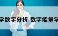 数字能量学数字分析 数字能量学数字解析