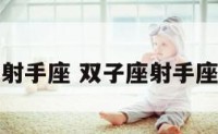 双子座射手座 双子座射手座合适吗