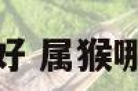 属猴那天出生好 属猴哪天出生最好命