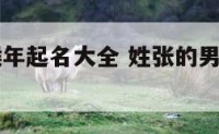 张姓男孩猴年起名大全 姓张的男孩取什么名字好猪年