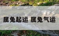 属兔起运 属兔气运