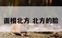 面相北方 北方的脸