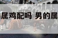 男的属龙女的属鸡配吗 男的属龙女的属鸡可以在一起吗