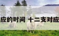 十二支对应的时间 十二支对应的时间表