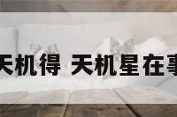 事业天机得 天机星在事业宫